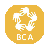 Birchen Coppice Academy logo